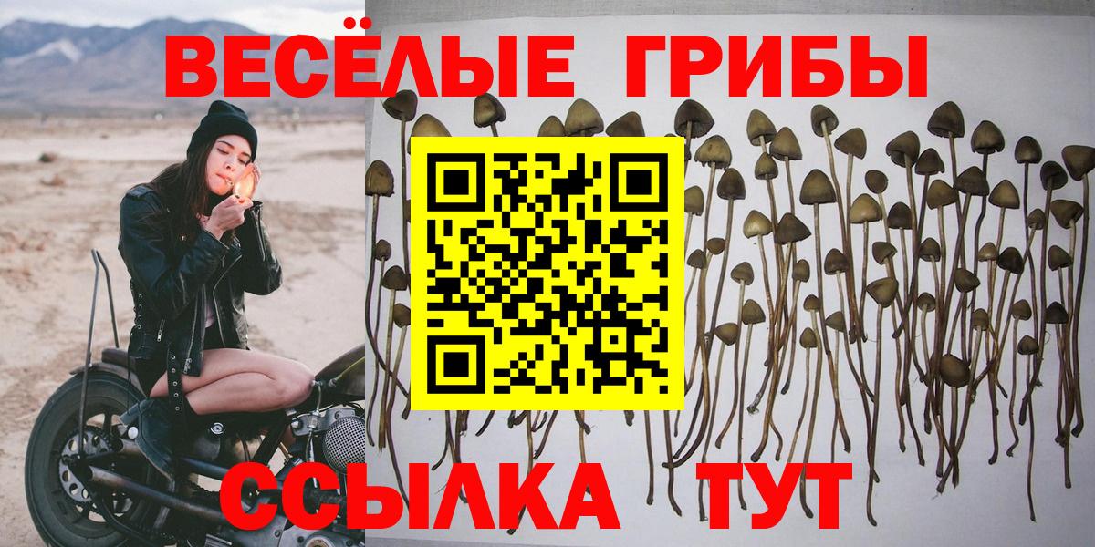Майский  Галлюциногенные грибы Magic Shrooms  Вход с VPN 